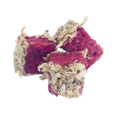 LK Baits Nástraha Cuc 40 g