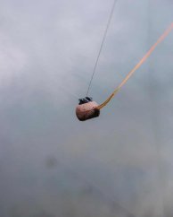 Fox Captive Back Lead MK2 2oz /56g