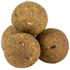 Boilies - Príchuť - Spicy meat - Korenie - mäso