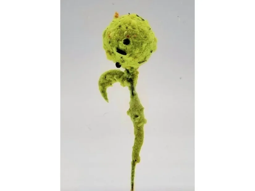 Crystal Dip 150ml A Baits