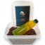 Premium Pellet Mix SET FLUO 500g + 200ml - Príchuť: Spicy meat - Korenie - mäso