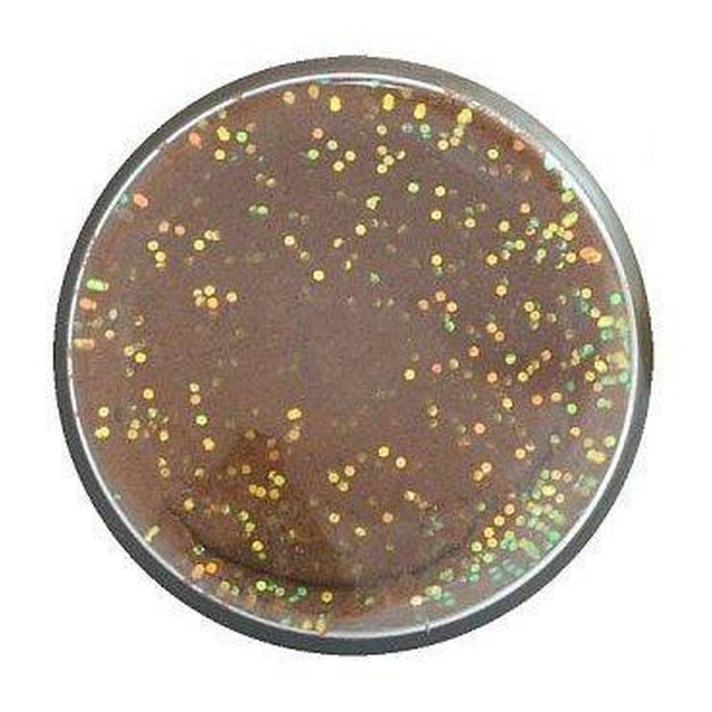 Cesto na pstruhy PowerBait® Trout Bait Natural - Príchuť: Oranžová