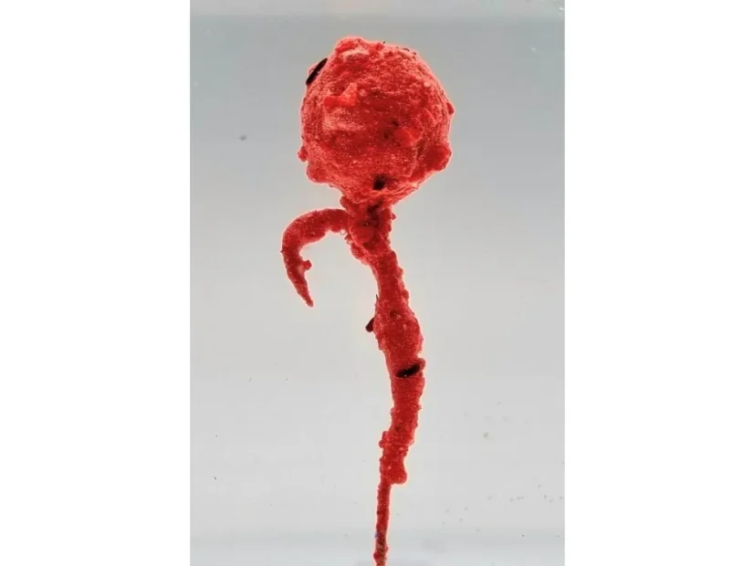 Crystal Dip 150ml A Baits