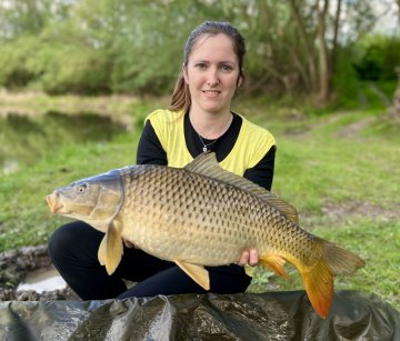 Method Feeder: Kráľ efektívneho rybolovu