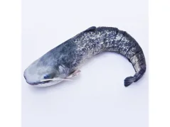 Plyšová ryba Gaby Sumec 62cm