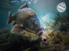 Nástraha D SNAX SHELL / Rum-Cola