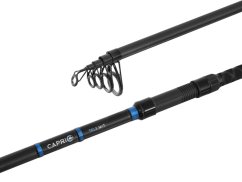 Delphin CAPRI Tele NXT prút