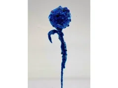 Crystal Dip 150ml A Baits